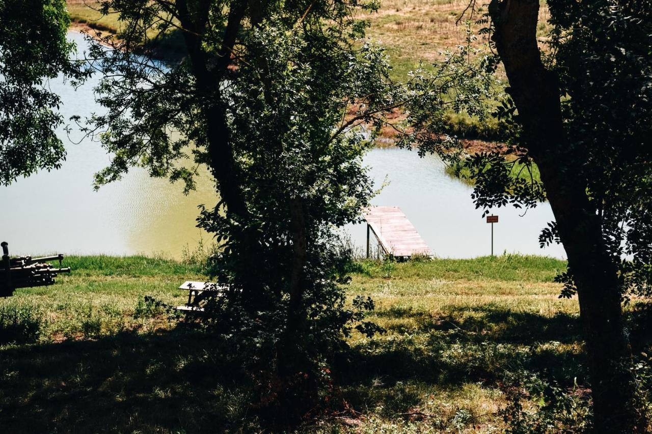 Maison De Campagne, Bord De Lac, Piscine, Billard 11 Per Plieux Bagian luar foto